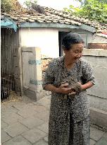 N. Korean farmers ordered to grow up 5-10 rabbits per head